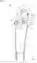 Fig. 04 - MULTI-ARTICULATED LINK KNEE JOINT