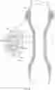 Fig. 10 - Stent including an expandable member