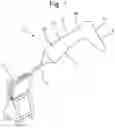 Fig. 02 - Orthosis