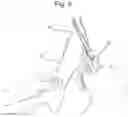 Fig. 09 - Orthosis