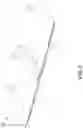 Fig. 03 - Adhesive bandage