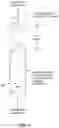 Fig. 11 - Beamed elastomeric laminate performance and zones