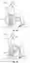 Fig. 11 - WHEELCHAIR PROPULSION ASSISTANCE DEVICES AND SYSTEMS