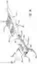 Fig. 37 - Surgical frame including main beam for facilitating patient access