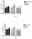 Fig. 02 - Use of fumaric acid esters and pharmaceutically acceptable salts thereof in preparing pharmaceuticals for treating ferroptosis-related diseases