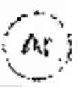 Fig. 02 - rAAV with chemically modified capsid
