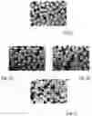 Fig. 02 - BONE GRAFT SUBSTITUTE AND METHODS FOR MANUFACTURING SAME