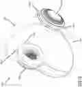 Fig. 02 - WEARABLE AIR PURIFIER