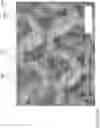 Fig. 06 - Durable biofouling protection