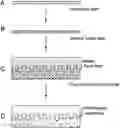 Fig. 01 - FAST COATING COMPOSITIONS