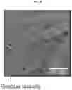 Fig. 07 - Additive manufacturing with nanofunctionalized precursors