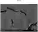 Fig. 09 - Additive manufacturing with nanofunctionalized precursors