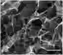 Fig. 01 - METHOD FOR SELECTIVE ABSORPTION OF LEAD IONS FROM HEAVY METAL WASTEWATER BY ELECTRIC FIELD ENHANCEMENT