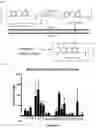 Fig. 02 - Amide compounds, pharmaceutical compositions thereof, and methods of using the same