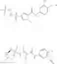 Fig. 10 - COMBINATION THERAPY FOR TREATING HEPATITIS B VIRUS INFECTION