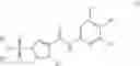 Fig. 24 - COMBINATION THERAPY FOR TREATING HEPATITIS B VIRUS INFECTION
