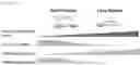 Fig. 13 - Compositions and methods for impeding transcription of expanded microsatellite repeats