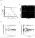 Fig. 16 - Compositions and methods for impeding transcription of expanded microsatellite repeats