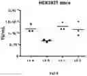 Fig. 07 - WPRE mutant constructs, compositions, and methods thereof