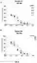Fig. 08 - WPRE mutant constructs, compositions, and methods thereof