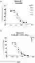 Fig. 11 - WPRE mutant constructs, compositions, and methods thereof