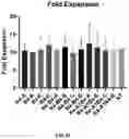 Fig. 12 - WPRE mutant constructs, compositions, and methods thereof