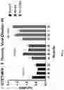 Fig. 14 - WPRE mutant constructs, compositions, and methods thereof