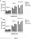 Fig. 15 - WPRE mutant constructs, compositions, and methods thereof