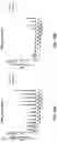 Fig. 16 - WPRE mutant constructs, compositions, and methods thereof