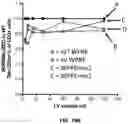 Fig. 24 - WPRE mutant constructs, compositions, and methods thereof