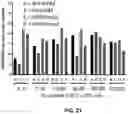 Fig. 26 - WPRE mutant constructs, compositions, and methods thereof