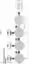 Fig. 02 - POOLED GENOME EDITING IN MICROBES