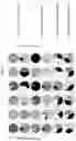 Fig. 09 - POOLED GENOME EDITING IN MICROBES