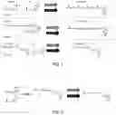 Fig. 02 - Methods of making and using E,Z,E-geranylgeranyl diphosphate