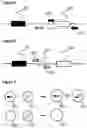 Fig. 03 - SINGLE MOLECULE CONTROLS