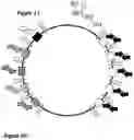 Fig. 08 - SINGLE MOLECULE CONTROLS