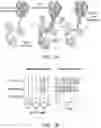 Fig. 02 - Transposition of Native Chromatin for Personal Epigenomics