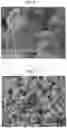 Fig. 06 - METHOD FOR PRODUCING GALLIUM NITRIDE CRYSTAL