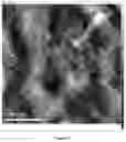 Fig. 14 - METHODS OF MAKING SPECIALIZED CELLULOSE AND OTHER PRODUCTS FROM BIOMASS