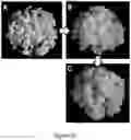 Fig. 10 - Method of transforming high consistency pulp fibers into pre-dispersed semi-dry and dry fibrous materials
