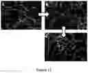 Fig. 11 - Method of transforming high consistency pulp fibers into pre-dispersed semi-dry and dry fibrous materials