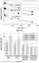 Fig. 15 - Method of transforming high consistency pulp fibers into pre-dispersed semi-dry and dry fibrous materials