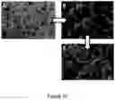 Fig. 18 - Method of transforming high consistency pulp fibers into pre-dispersed semi-dry and dry fibrous materials