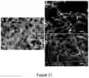 Fig. 20 - Method of transforming high consistency pulp fibers into pre-dispersed semi-dry and dry fibrous materials