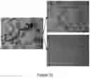Fig. 23 - Method of transforming high consistency pulp fibers into pre-dispersed semi-dry and dry fibrous materials