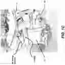 Fig. 04 - Plow blade traffic lighting system