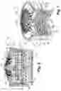 Fig. 02 - Sanitary insert unit