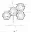 Fig. 02 - Polygonal Communities