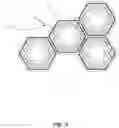 Fig. 04 - Polygonal Communities