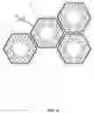 Fig. 07 - Polygonal Communities